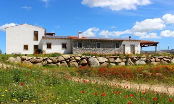 Tenute Testoni Agriturismo E B&B Bassacutena Екстериор снимка